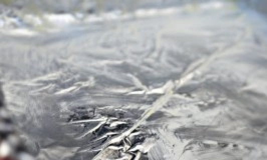 1. Этап. Картофель, запеченный в фольге: Фольгу смазать маслом.