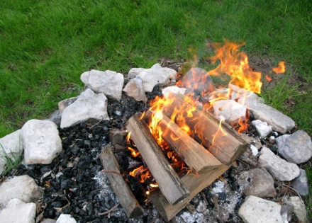 1. Этап. Уха на природе: Сначала разожгите костер и подготовьте овощи для бульона: вымойте, но не очищайте одну луковицу и головку чеснока, а целую морковь почистите и вымойте.