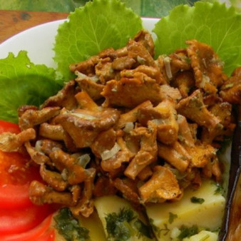 Лисички, запеченные в сметане