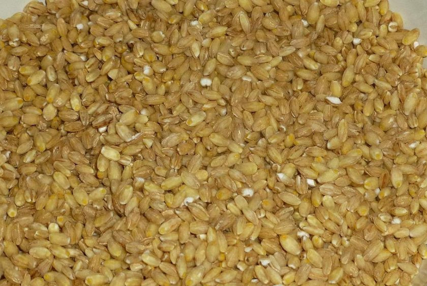 1. Этап. Перловка классическая: 1. Прежде, чем приступить к приготовлению каши, крупу нужно тщательно промыть. Польза перловки давно доказана, поэтому ее нужно кушать как можно чаще.