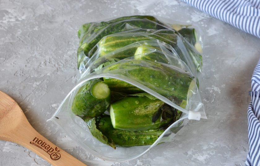 1. Этап. Малосольные огурчики с зеленью в пакете: Спустя сутки огурцы пустят немного сока, листочки дадут шикарный аромат, пробуйте.