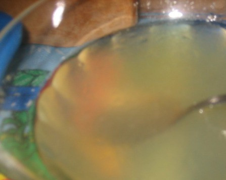 1. Этап. Торт с маскарпоне без выпечки: 1. Желатин разводим, как написано на упаковке. Оставим набухать.