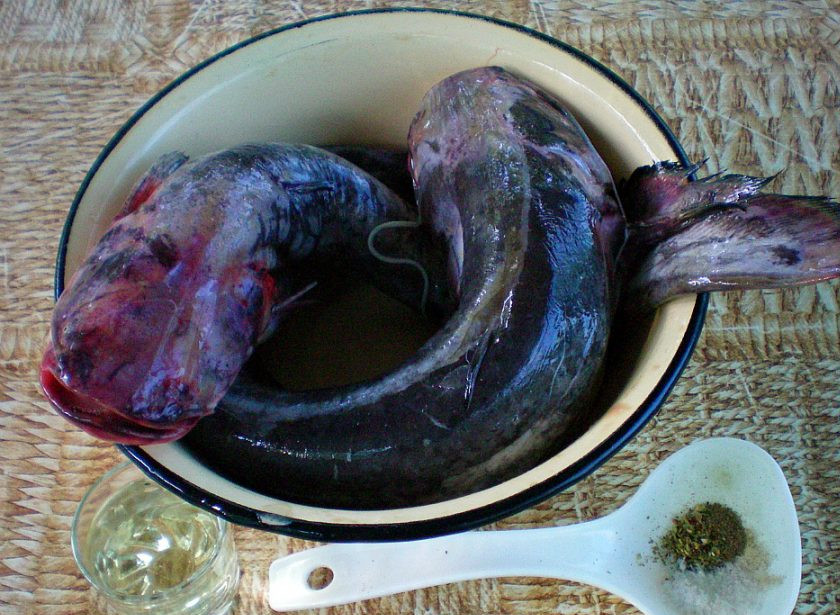 1. Этап. Рыба под белым маринадом: Подготовим ингредиенты.