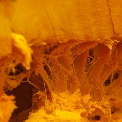 1. Этап. Тыквенный суп с креветками: Тыкву чистим. режем на кубики размером приблизительно 2 на 2 см, кладем в кастрюлю, заливаем водой и ставим на средний огонь.