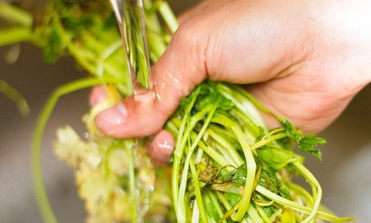 1. Этап. Острый салат с манго и помидорами: 2. Вымойте и обсушите зеленый лук и листья кориандра, измельчите.