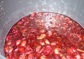 1. Этап. Варенье из шиповника в мультиварке: 3. Добавим в мультиварку воду и пюре из апельсина. Продолжаем тушение. Чуть набухшие ягоды шиповника можно помять толкушкой или отдельно вынуть все косточки.