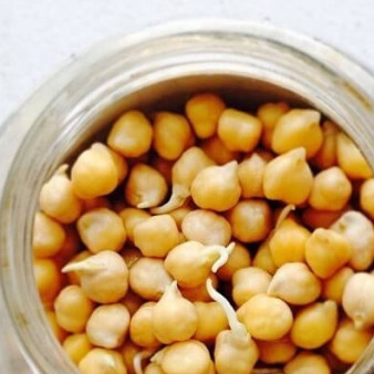 Проросшие ростки фасоли