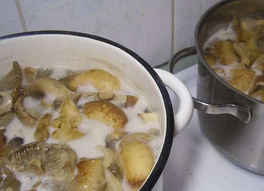 1. Этап. Грузди маринованные хрустящие: 2.Теперь нарезаем крупные экземпляры, а мелкие оставляем целыми. Засыпаем в кастрюлю вместе с лаврушкой, перцем и солью. Доводим до кипения, уменьшаем огонь и варим еще полчаса.