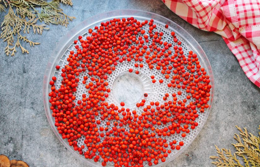 1. Этап. Сушеная рябина: Ягоды отделите от веточек, переберите и сполосните. Откиньте ягоды на сито и дайте полностью стечь воде. Разложите ягоды на полотенце и дайте им полностью высохнуть. Разложите рябину тонким слоем на решетке для электросушилки с сеткой для ягод или пергаменте.