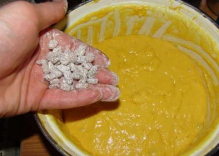 1. Этап. Кулич на дрожжах: Немного обваляйте изюм в муке и киньте в тесто. Перемешайте. Распределите всё по формам, заполнив их на 1/3 от всего объёма.