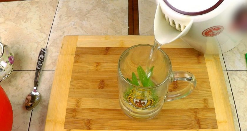 1. Этап. Домашний лимонад с мятой: Заливаем примерно треть ёмкости кипятком, бросаем туда веточку мяты, три ложечки сахара и перемешиваем до растворения сахарного песка.