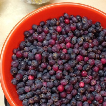 1. Этап. Варенье из ирги: Иргу перебрать. Удалить листочки и веточки.