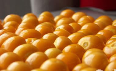 1. Этап. Мартини Пряный грейпфрут: 1. Если вы не можете найти плоды фезалиса перуанского, можнои спользовать вместо них очень спелую желтую алычу или желтую черешню.