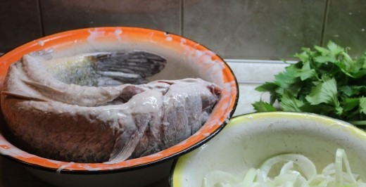 1. Этап. Сазан в духовке с майонезом: Пока наш сазан маринуется, мы чистим лук, нарезаем его кольцами, а зелень сельдерея моем и обсушиваем полотенцем.