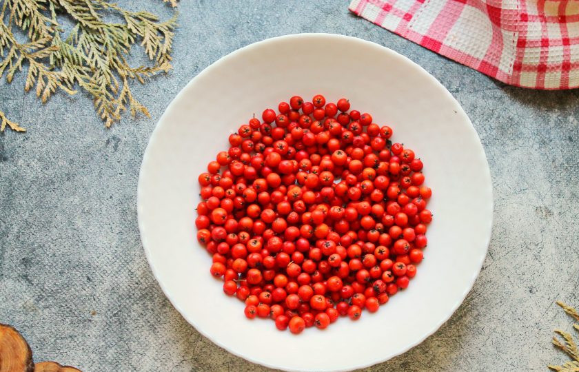 1. Этап. Компот из красной рябины на зиму: Ягоды переберите, отделите от веточек, промойте под проточной водой и разложите на полотенце, чтобы высохли. Уберите в морозильник на 3-4 часа, чтобы замерзли.