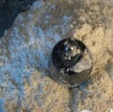 1. Этап. Пицца с моцареллой и томатным соусом: 2. Высыпать 3 чашки муки и соль в кухонный комбайн. Включить его и постепенно добавить смесь дрожжей. Перемешать.