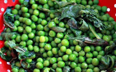 1. Этап. Курица с лимонной сальсой и гороховым пюре: 4. Отварить шпинат и мяту в одной кастрюле, около 5-10 секунд. Выложить в миску с горохом. Зарезервировать 1/2 стакана ледяной воды.