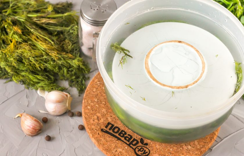 1. Этап. Соленые огурцы по ГОСТу: Поместите на овощи гнет, перевернув блюдце и выложив на него гирю или банку с водой. Оставьте заготовку при комнатной температуре примерно на 3-5 дней. Примерно на 3 день начнется процесс брожения, верх рассола покроется пленкой — это нормально! Главный сигнализатор — запах. Он должен быть приятным. Перемешивайте заготовку каждый день, дожидаясь, пока огурцы не сменят свой цвет полностью.