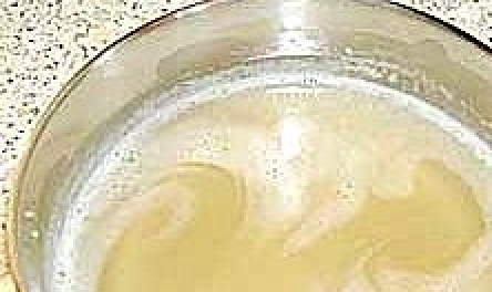 1. Этап. Торт творожный с персиками: Слегка подогреваем желатин.