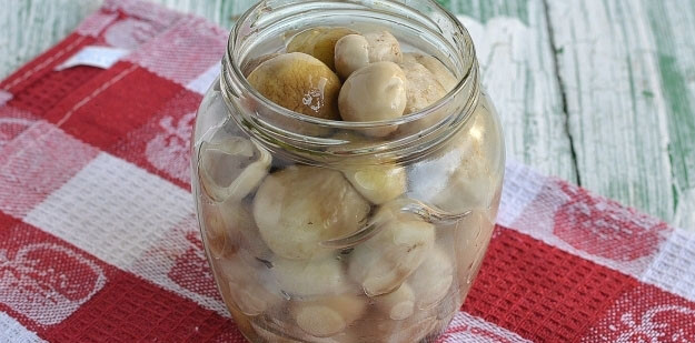 1. Этап. Белые маринованные грибы: Приготовьте маринад. В воду добавьте соль, перец, сахар и лавровый лист. Доведите до кипения, добавьте уксус и снова вскипятите. Готовым маринадом залейте грибочки и закатайте. Храните в темном, прохладном месте.