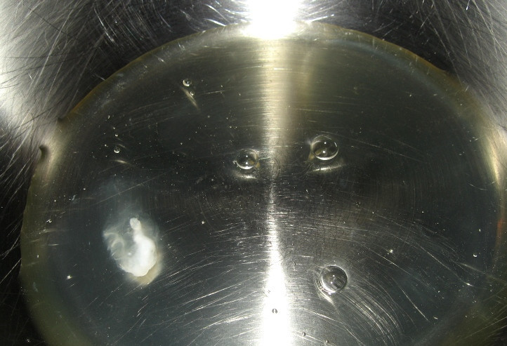 1. Этап. Диетическая яичница: Белки переливаем в мисочку и добавляем к ним чуточку соли.