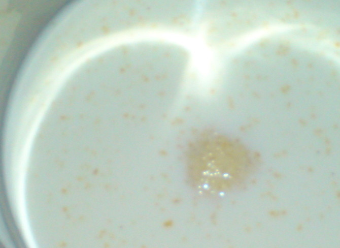 1. Этап. Блинчики с творогом и ягодами: Готовим тесто для тонких блинчиков. Яйца разбиваем в миску, туда добавляем соль, сахар. Взбиваем все это венчиком до пенки. Добавляем молока, муки, растительного масла.