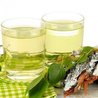 Настойка на березовых почках