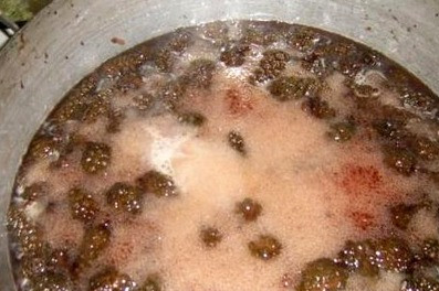 1. Этап. Сироп из сосновых шишек: Делаем под кастрюлей медленный огонь и варим шишки в течение 3 часов, периодически помешивая их и снимая образующуюся пену.