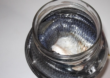 1. Этап. Малосольная сельдь: Банку лучше брать с широким горлом, закладываем рыбу не до самого верха банки.