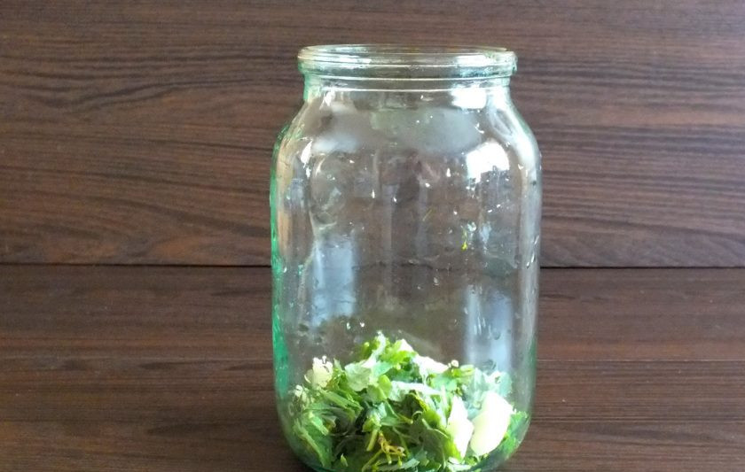 1. Этап. Малосольные огурцы с мятой и чесноком: Возьмите литровую банку. Обдайте дважды кипятком. На дно выложите 1/2 пучка мяты и зонтики укропа.