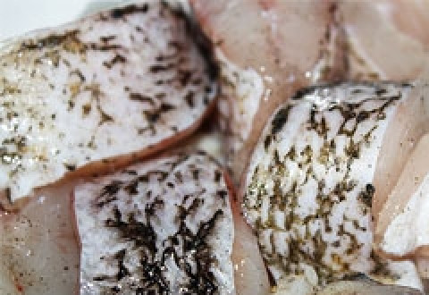 1. Этап. Жареная щука: Посыпаем куски щуки солью и перцем. Отставляем в сторонку и делаем кляр.