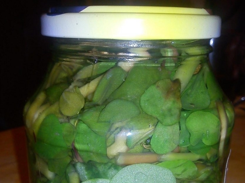 1. Этап. Маринованный портулак: 3. Делаю горячий маринад: в сотейник наливаю воду, добавляю соль и сахар, отправляю на огонь и довожу до кипения. Снимаю кастрюлю с огня и вливаю уксус, заливаю горячим маринадом содержимое банки и закручиваю крышкой.