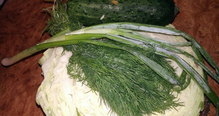 1. Этап. Салат из молодой капусты с огурцом и зеленью: 1. Единственный минус такого салата, его нужно кушать сразу и не оставлять на потом, поскольку он стекает мгновенно. Даже с растительным маслом его лучше употребить в пищу сразу. Итак, три простых ингредиента — и через 10 минут вкусный, легкий и сытный салат будет готов.