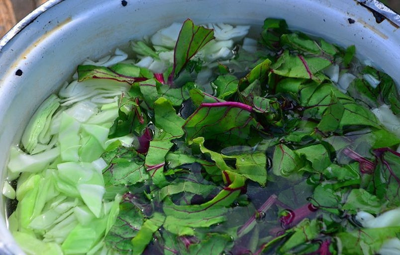 1. Этап. Борщ в казане на костре: Как только вода закипит, добавьте в неё капусту и ботву. Проварите их в течение 5 минут.