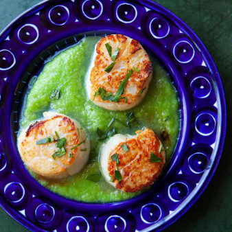 Seared Scallops with Asparagus Sauce