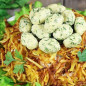 Салат Гнездо глухаря с огурцом