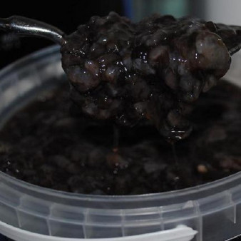 Трепанг с медом