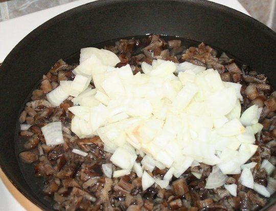 1. Этап. Капуста с грибами в горшочке: Добавить лук к грибам и жарить еще минут 5, пока он не начнет зарумяниваться. Посолить, добавить специи, перемешать.