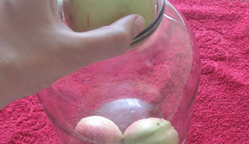 1. Этап. Яблоки консервированные целиком: 3. Яблоки укладываем в трехлитровые банки, где-то на 2/3.