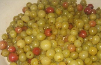 1. Этап. Варенье из крыжовника густое: 1. Крыжовник чистим от черенков, перебираем и промываем.