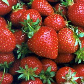 1. Этап. Витаминный напиток из клубники и манго: 2. Свежую клубнику перебрать и помыть, отряхнуть от сырой воды, слишком крупные ягоды разрезать пополам. Мороженые ягоды не нужно размораживать.