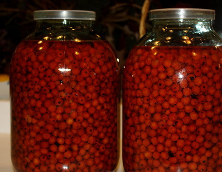 1. Этап. Наливка из рябины: 3. Теперь дайте настояться наливке три недели в темном месте. Периодически контролируйте процесс. Спустя указанное время наливка готова к употреблению. Хранить ее лучше в прохладном месте.