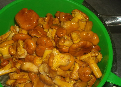 1. Этап. Маринованные лисички с чесноком: Откиньте грибы на дуршлаг, воду слейте.