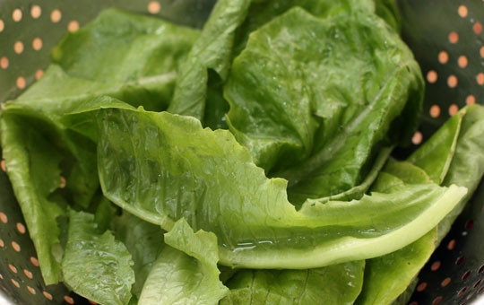 1. Этап. Салат Цезарь с майонезом: Листья салат вымыть, обсушить и нарвать руками на 2-4 части каждый.