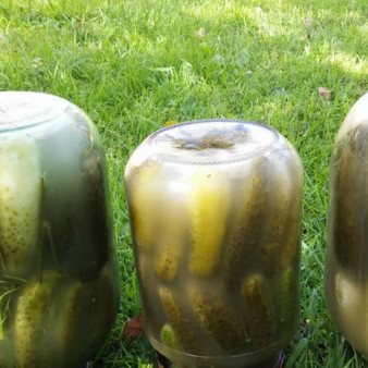 Соленые огурцы по-русски