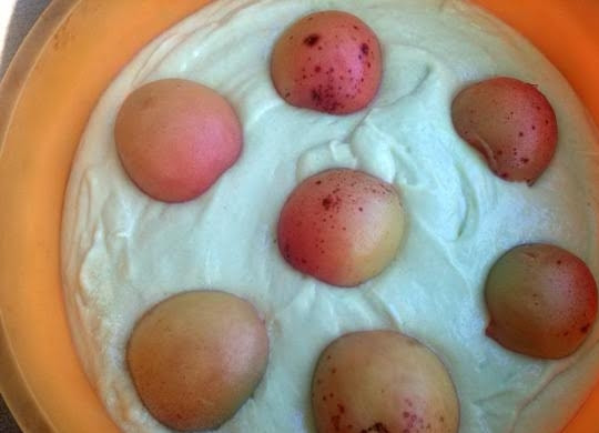 1. Этап. Тирольский пирог: 3 Силиконовую форму (диаметр 24 см) смажьте растительным маслом и аккуратно вылейте тесто. Выложите половинки абрикоса (250г) в тесто, выпекайте в разогретой духовке 30 минут.