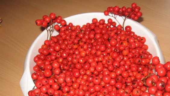 1. Этап. Варенье из садовой рябины: 1. Тщательно перебираем нашу рябину. Если вы используете замороженную - не беда. После этого залейте ягоды водой и дайте постоять около 10 минут. Затем слейте воду и обсушите ягоды.