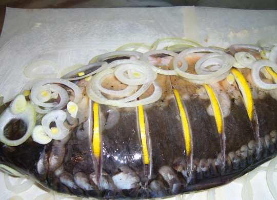 1. Этап. Рыба, запеченная в духовке в фольге: Натрите карпа солью и перцем, сделайте на нем поперечные глубокие надрезы. В каждый из них вложите по дольке лимона. Расстелите фольгу, положите на нее пергамент и полейте его оливковым маслом. Выложите на пергамент кольца лука, затем на него поместите карпа. Сверху выложите еще один слой лука.