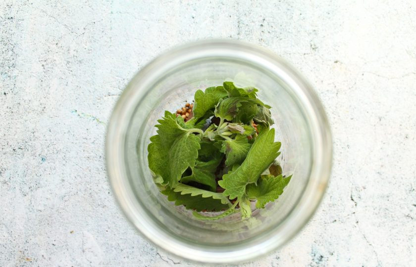 1. Этап. Ароматный коньяк с медом и травами: Выложите в банку листья мелиссы.