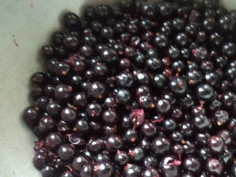 1. Этап. Кисель из ягод: 1. Перед тем, как приготовить кисель из ягод, необходимо продукты перебрать, удалить мусор, помыть. Вскипятите воду. Выжмите из имеющихся ягод сок. Можно протереть их через сито. Перелейте сок в стеклянную посуду и отставьте в холод.